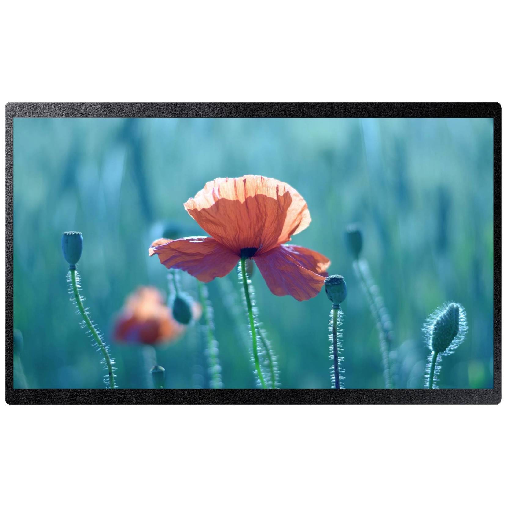 Samsung - QB24R-B (24") - LED Signage Display, 1920x1080, WLAN, Bluetooth, HDMI, USB, Schwarz