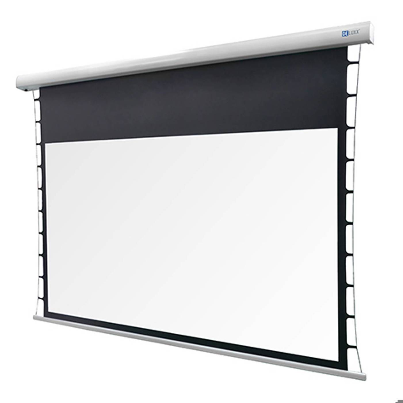 Deluxx - 4k Pro Fibre MWHT, Motorleinwand 100" (221 x 124cm), Bildformat 16:9, Gain 1.2